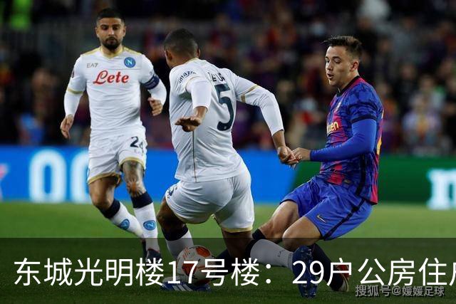 东城光明楼17号楼：29户公房住户凑钱把楼拆了重建
